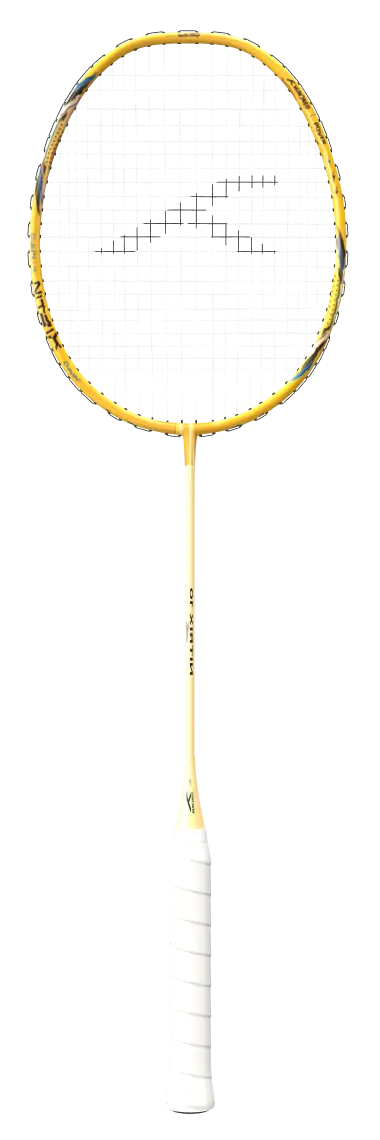 HUNDRED Nitrix 10 · Bumblebee